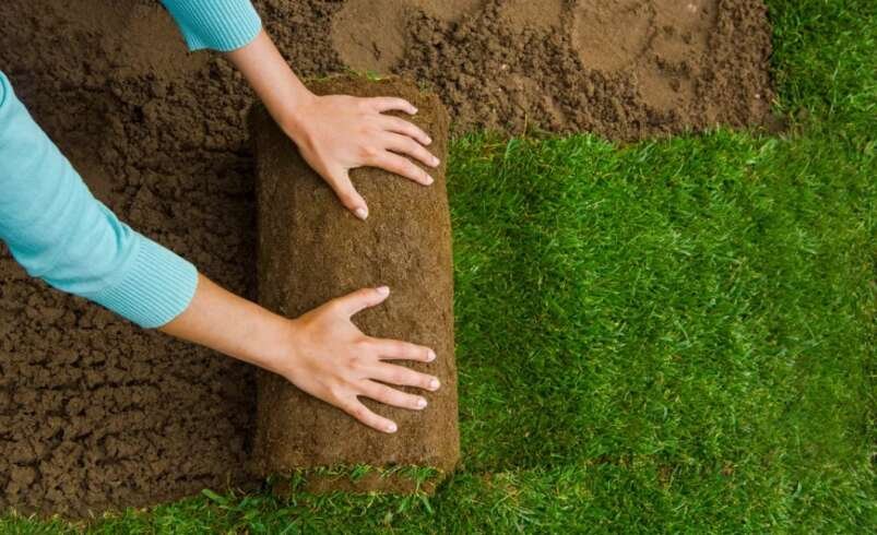 Turf Installation in Melbourne | Pro Landscaping Services & Designs