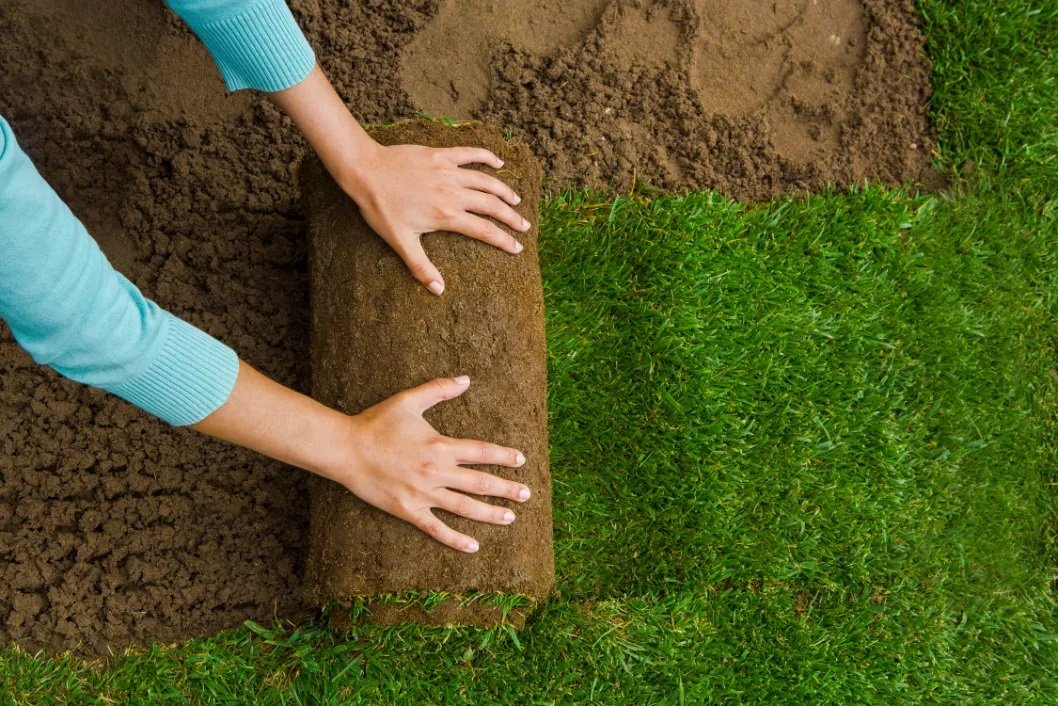Turf Installation in Melbourne | Pro Landscaping Services & Designs