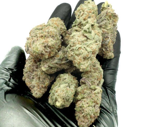 Identifying High-Quality Cannabis Flower: AAAA Weed and Beyond