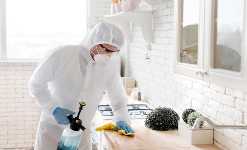 Emergency Pest Control in Geelong