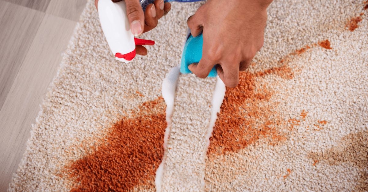 Expert Recommendations on How Often Carpets Should Be Professionally Cleaned