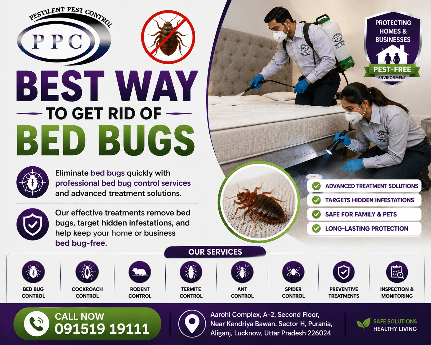 Best Pest Control Services in Lucknow for Homes & Businesses