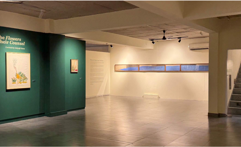 best art gallery in Delhi NCR