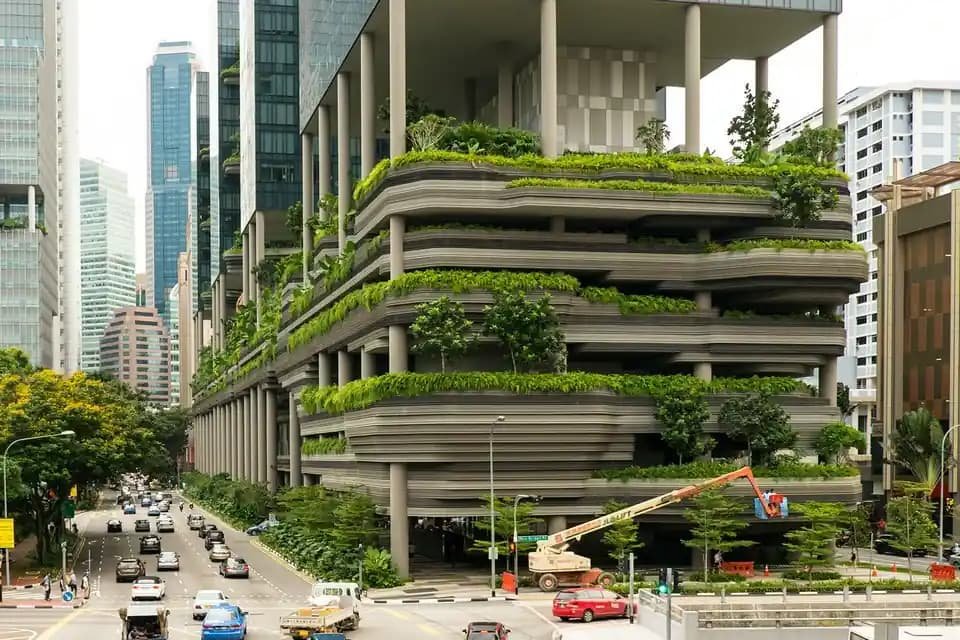 Green Building Practices That Shape Modern Construction in Tampa