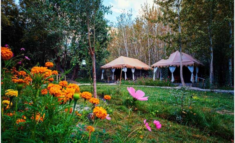 3-Star Hotels in Nubra Valley, a Hotel Near Sand Dunes Nubra, and Budget Camping in Nubra — Full Comparison