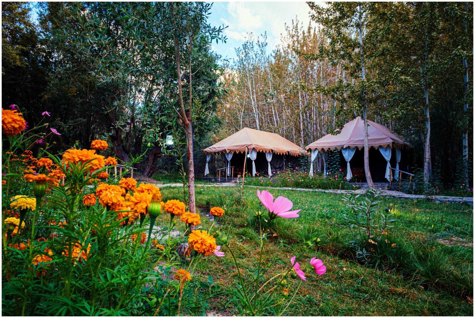 3-Star Hotels in Nubra Valley, a Hotel Near Sand Dunes Nubra, and Budget Camping in Nubra — Full Comparison