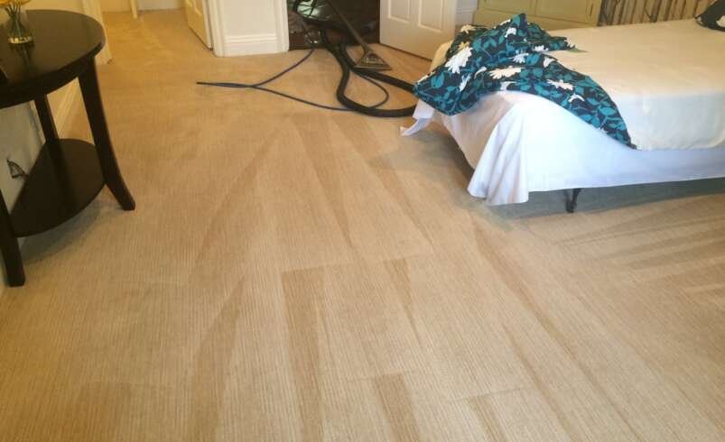 A Complete Guide to Cleaner, Healthier Carpets for Every Home
