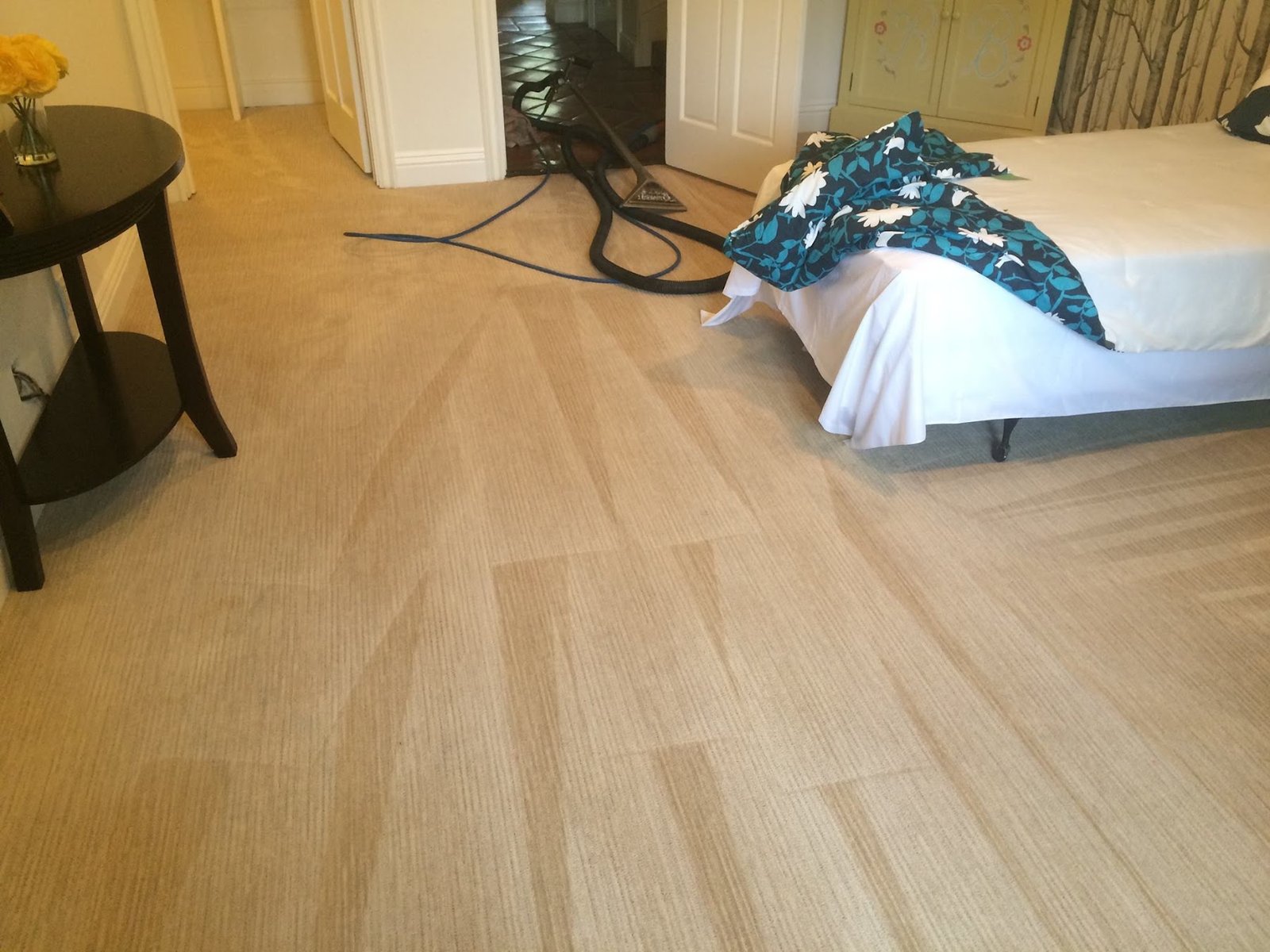 A Complete Guide to Cleaner, Healthier Carpets for Every Home
