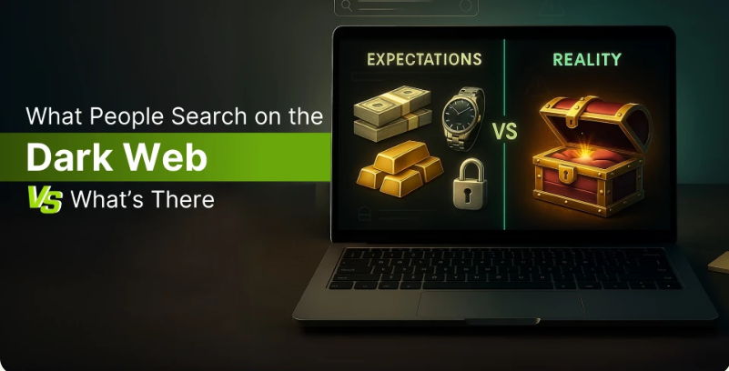 Haystak Onion Search: What Beginners Should Know