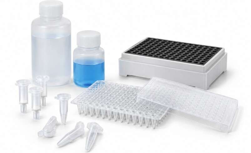 How Does DNA-/RNA Analysis Advance Modern Molecular Biology Research?