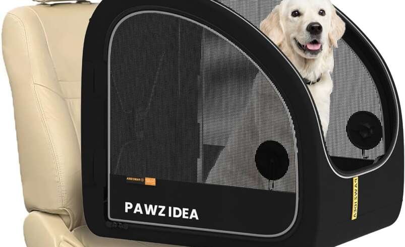 Complete Buyer Guide to Dog Rucksacks: Comfortable Hands-Free Travel for Modern Pet Owners
