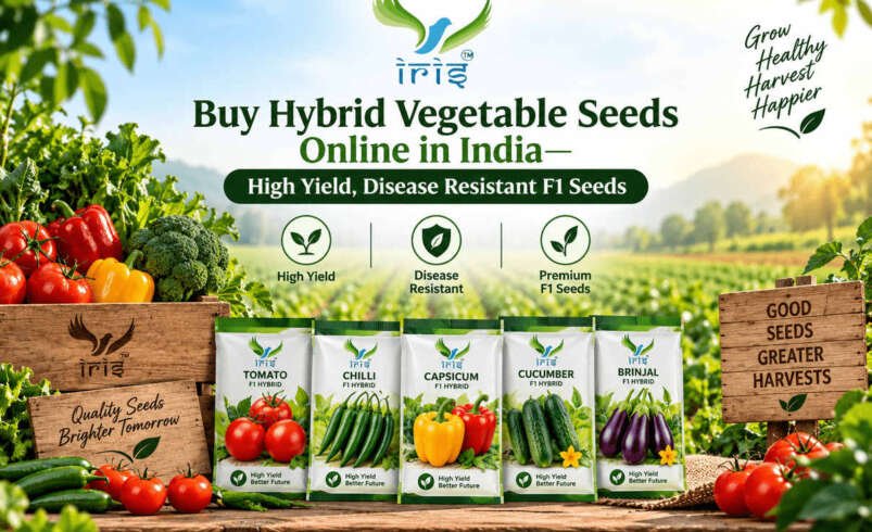 Hybrid Vegetable Seeds Online – Buy High-Quality F1 Hybrid Seeds in India