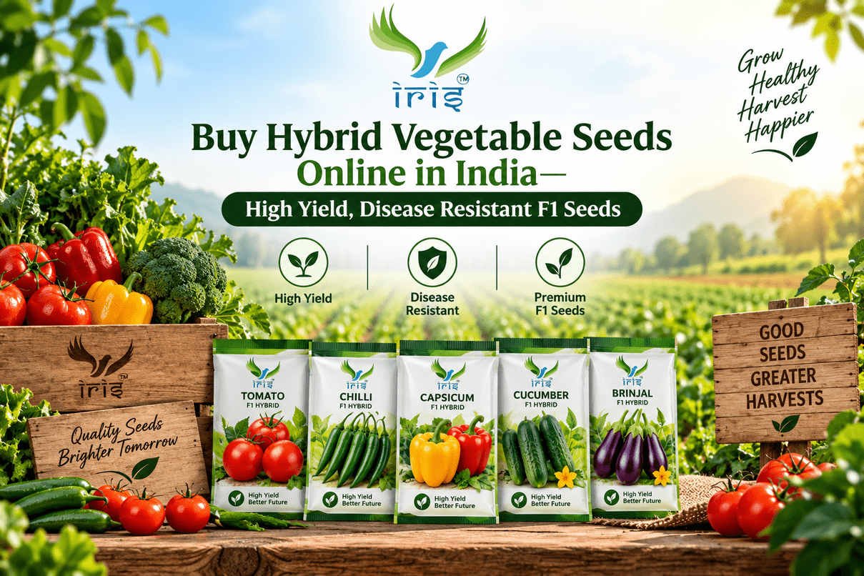 Hybrid Vegetable Seeds Online – Buy High-Quality F1 Hybrid Seeds in India
