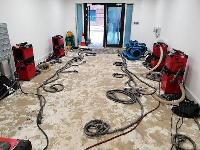 How Can Expert Drying Process After Water Damage Services Protect Greater Houston, TX Properties?