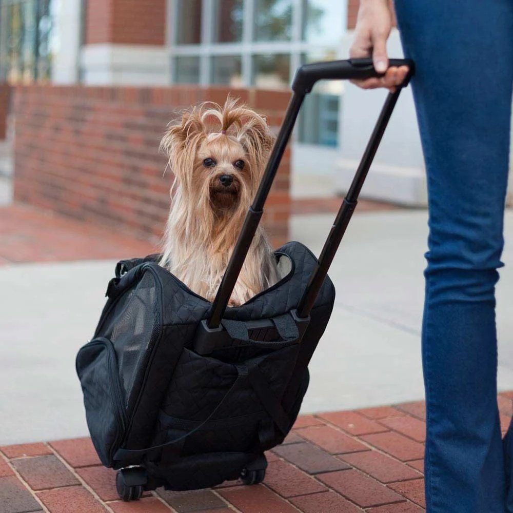 Complete Guide to Choosing the Best Pet Carrier UK Pet Owners Trust