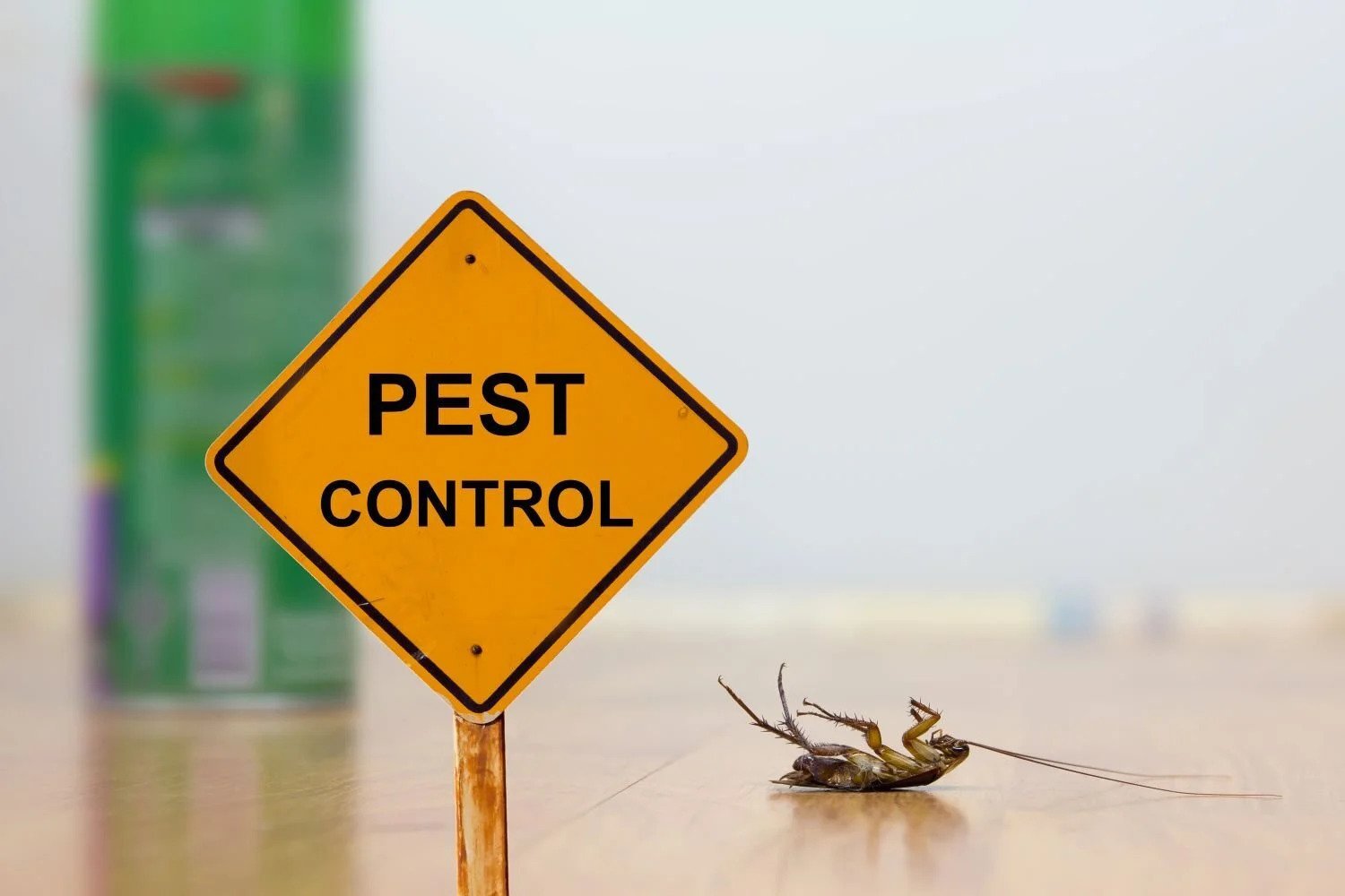 The Complete Guide to Weed Spraying Companies