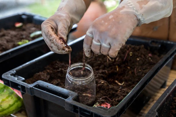 Composting Inside an Apartment: A Simple Guide for Beginners