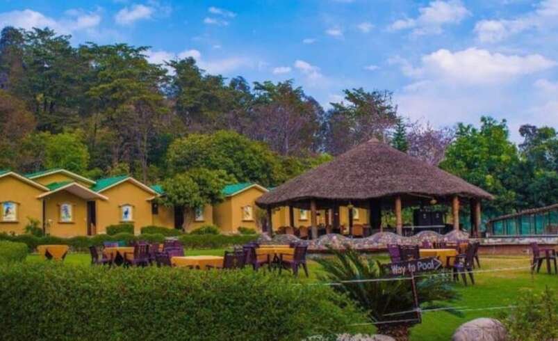 Jim Corbett Tour Packages: Plan a Nature-Filled Getaway