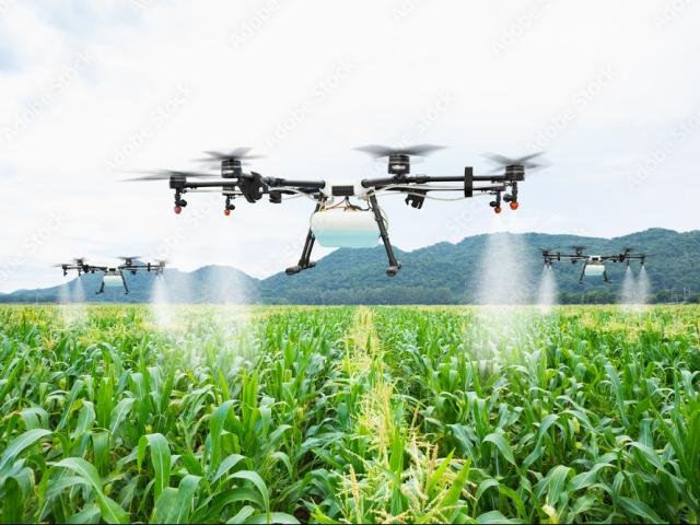 How Agricultural Drone Consulting Helps California Farmers Make Better Decisions