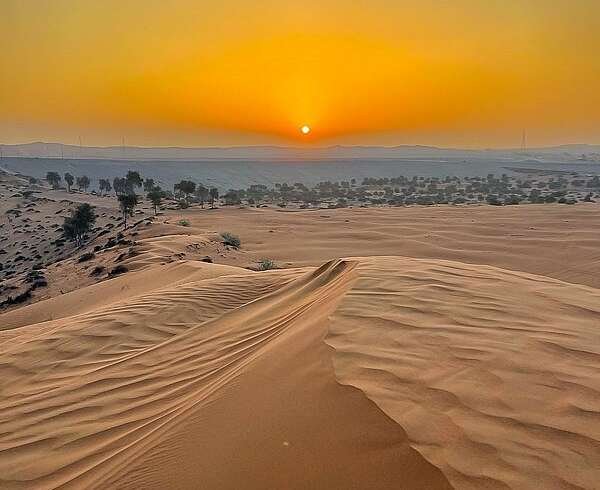 Desert Safaris Abu Dhabi | Top rated best priced Safari Operator