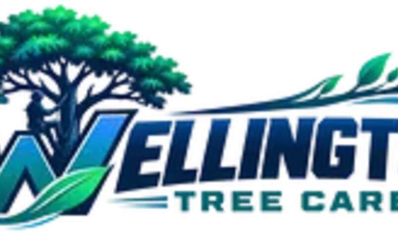 Wellington Tree Care