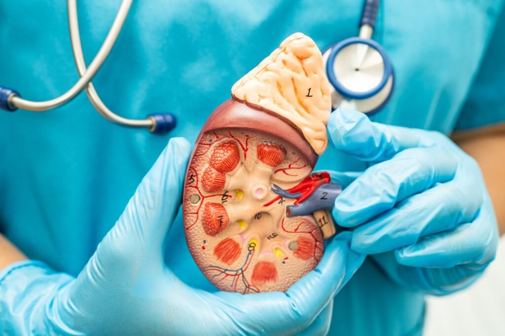 Best Gastro Doctor in Dubai for Digestive Health Guidance